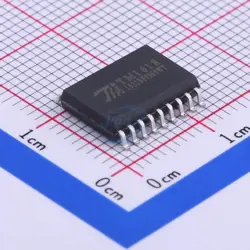 TM1618